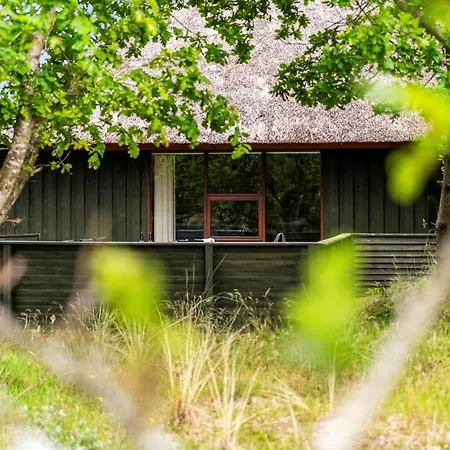 Bv457-blavand-svinget-15 Holiday home